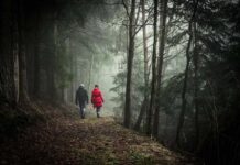 Entrepreneurial Advertising: The Future Of Marketing